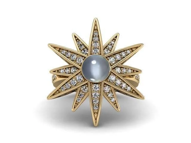 elegant ladies ring-Stargazing Ring