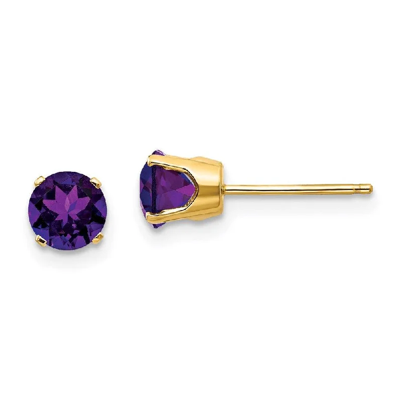 crystal charm ladies earrings-14k 5mm Amethyst Earrings - February