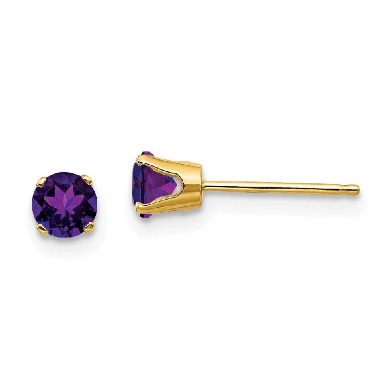 crystal charm ladies earrings-14k 4mm February/Amethyst Post Earrings